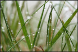 Foggy and wet - Keen of Hamar Unst
