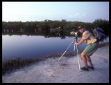 Florida 1991 (Rosate Sponbills with Canon FD 300/2,8L usm)