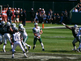 08NYJ-123.JPG