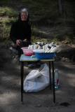 On Kakheti Roads