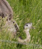 IMG_4972.jpg