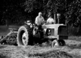 IMG_3694_ Raking the hay