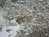 SAM_1178.JPG
