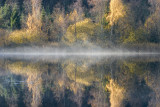 lake reflection