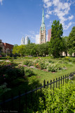 Park and cathedral