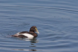 1.IMG_0060.JPG