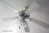 Ceiling Fan (6608)