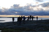 Skådare kollar in Isabellatörnskata Hållö Bohuslän 2.11-08