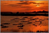 Industrial Sunset