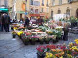 Flower Market in Aix-en-Provence