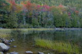 Bubble Pond Acadia 06