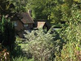 secluded house