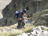 intrepid walker