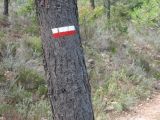 great markings on french paths
