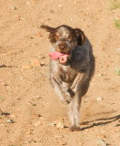 hailey-0032.jpg