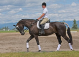 zP1050497 preparing for dressage at Rebecca Farm.jpg