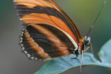 IMG_8661.JPG