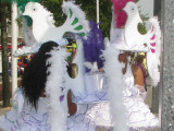 IMG_2583a.jpg