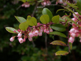 DSCN6099.jpg