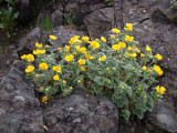 DSCN6130.jpg