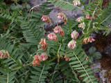 DSCN6142.jpg