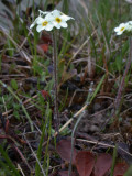 DSCN6332.jpg