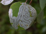 DSCN6360.jpg