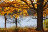 autumn_scenic_drives