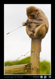 02 Longleat.jpg