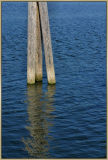 Umpqua River Oregon Coast