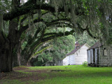 row of slave cabins and chapel