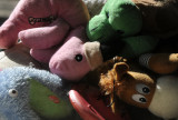the dogs  toys