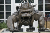 James Madison University Mascot - The Duke