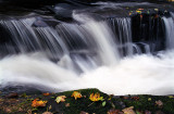 Clare Glens