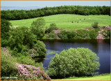  IRELAND - MONAGHAN - ROSSMORE FOREST PARK - CASTLE LAKE