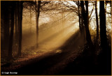  IRELAND - MONAGHAN - ROSSMORE FOREST PARK - COOTEHILL ROAD ENTRANCE