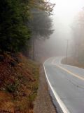 Foggy Road to Francestown