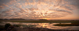 Hawk Dreaming Sunrise Cloudscape Panorama