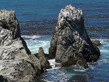 Cormorant Rock