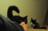 Being Curious