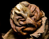 Macro Test
