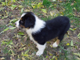 Autumn out playing in the yard with her brothers