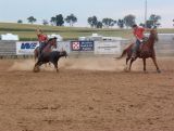 Rodeo shot