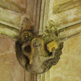 rather unexpected inhabitant of the abbey