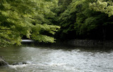 Ise Jingu - Isuzu River 140.jpg