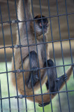 frstpkzoo-21.jpg