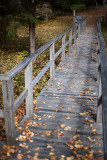 Birdsacre Boardwalk #1