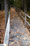 Birdsacre Boardwalk #2