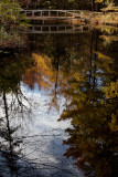 Birdsacre Pond Bridge #3