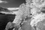 Jordan Pond IR #2